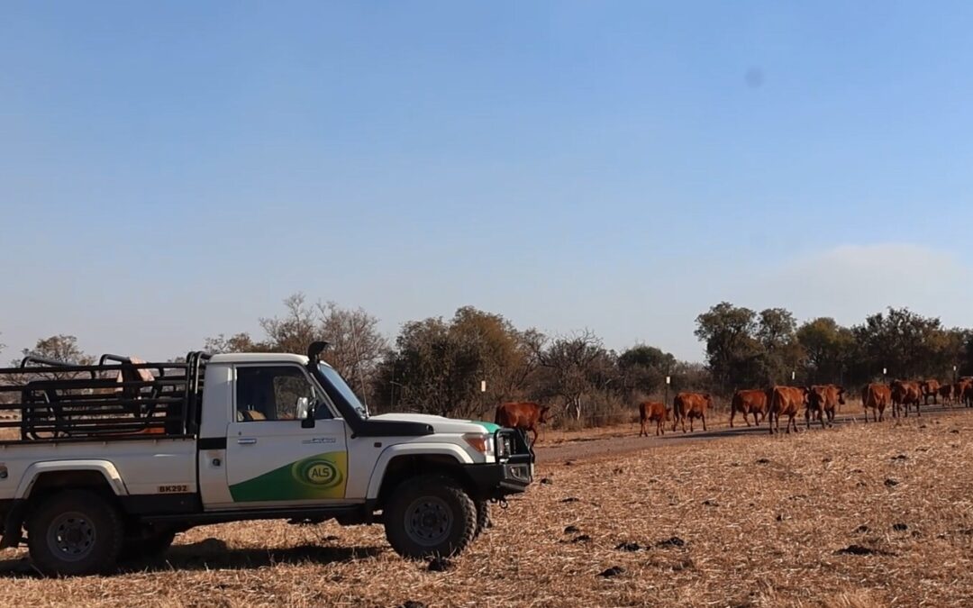 Boer sê: HerdTrack is op grondvlak getoets om op grondvlak te werk