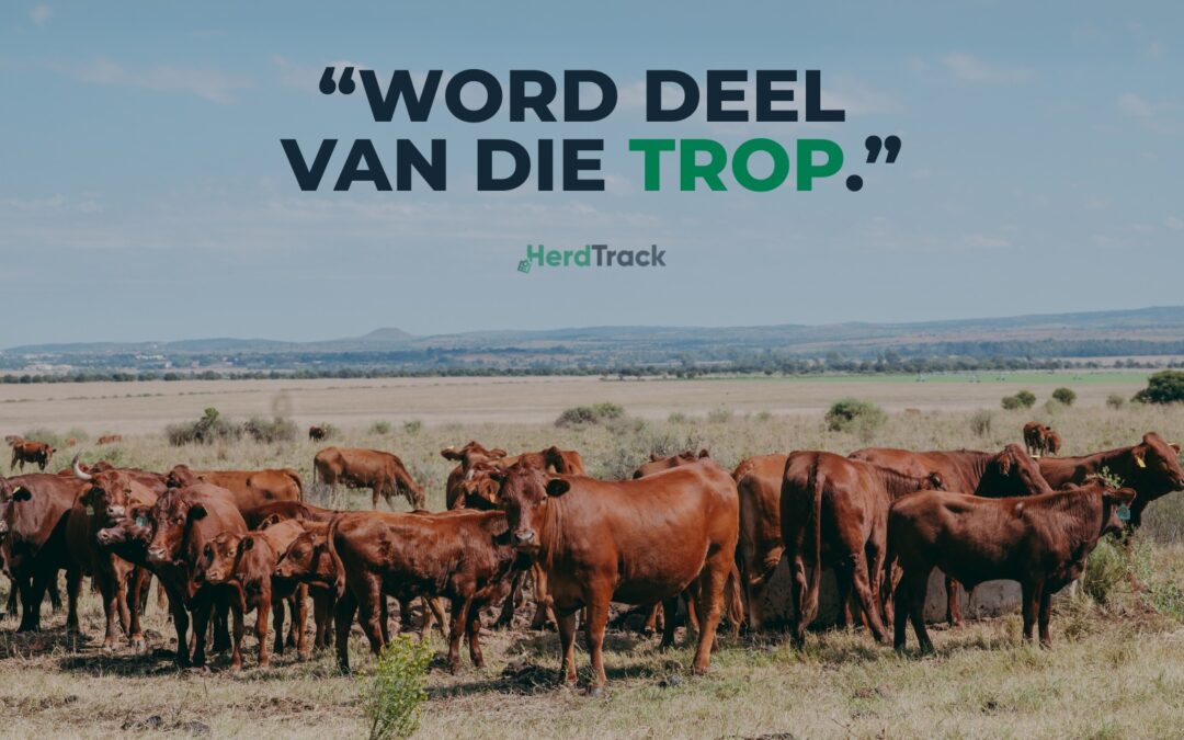 Word deel van die trop: HerdTrack stap ŉ pad saam met boere