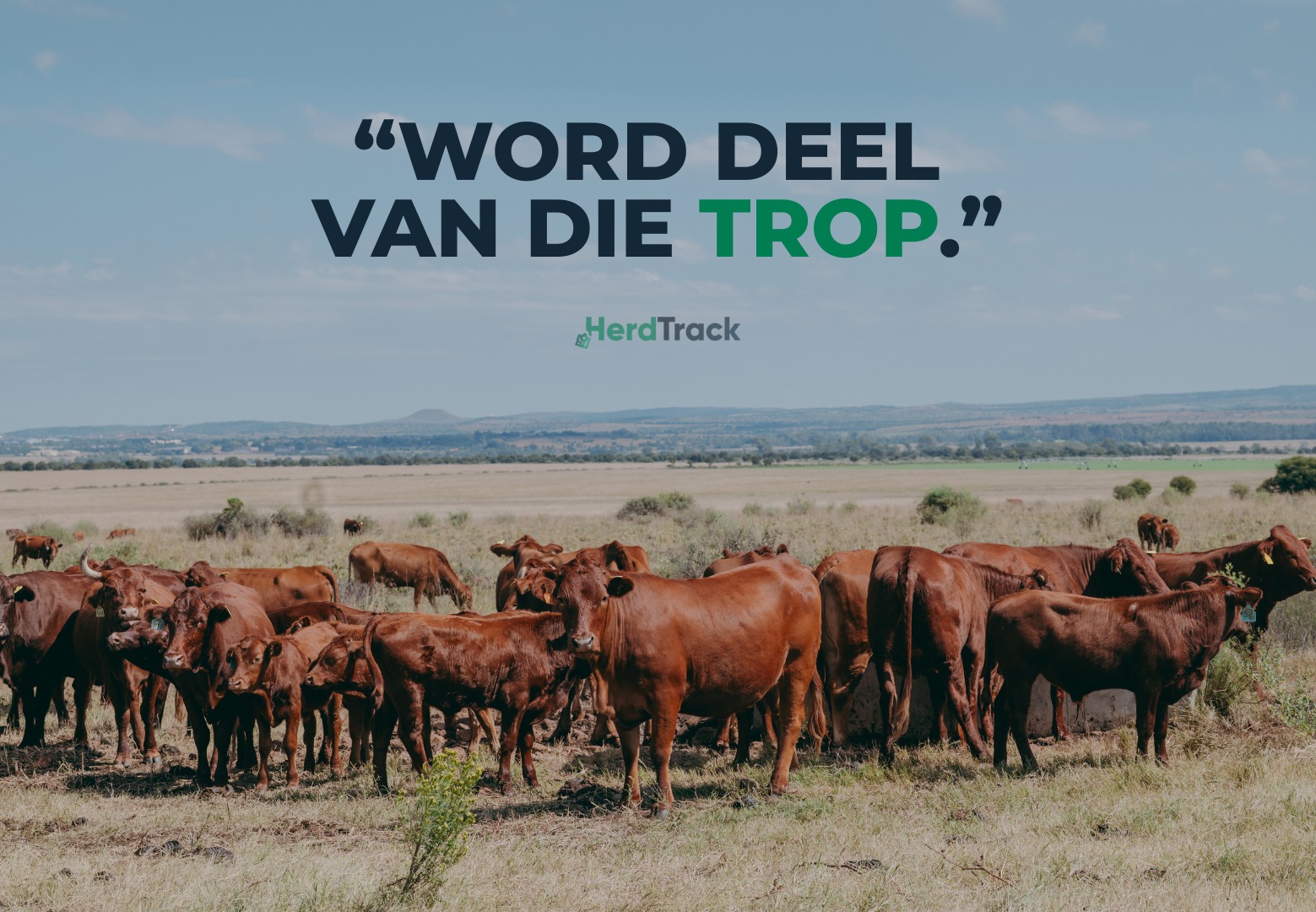 Artikel 8 WORD DEEL VAN DIE TROP