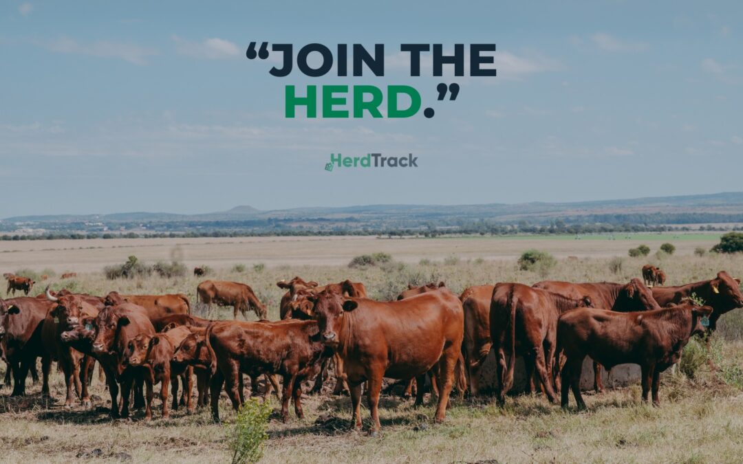 Join the herd: HerdTrack partners with farmers on their journey